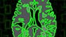 Introduction to Neurohacking In R