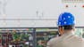 Distribution Management and Reactive Power Compensation
