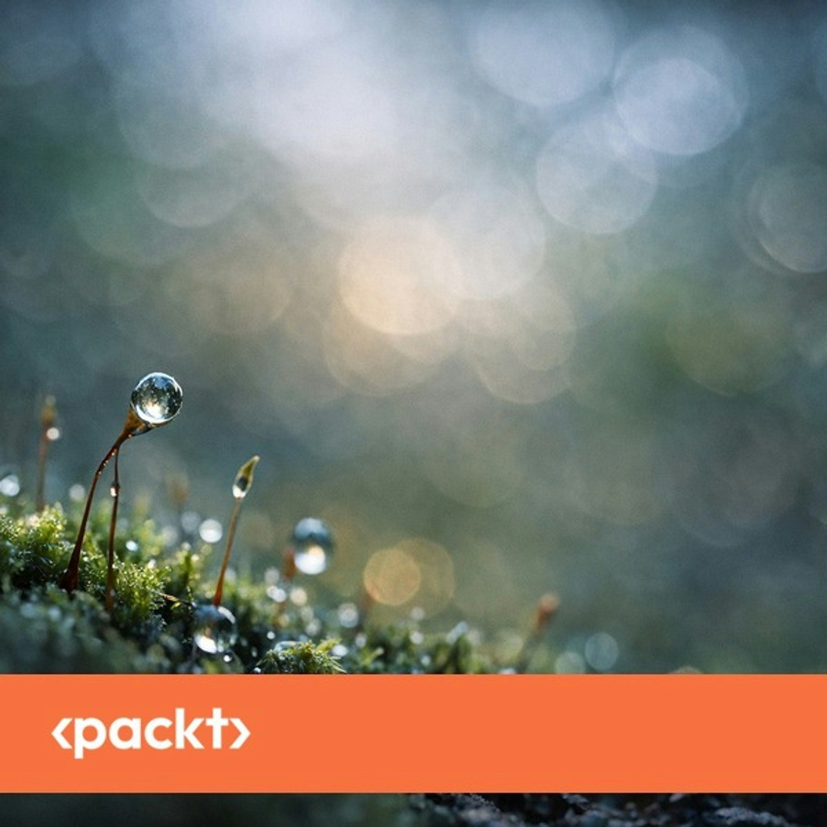 Foundations of Deep Reinforcement Learning with PyTorch