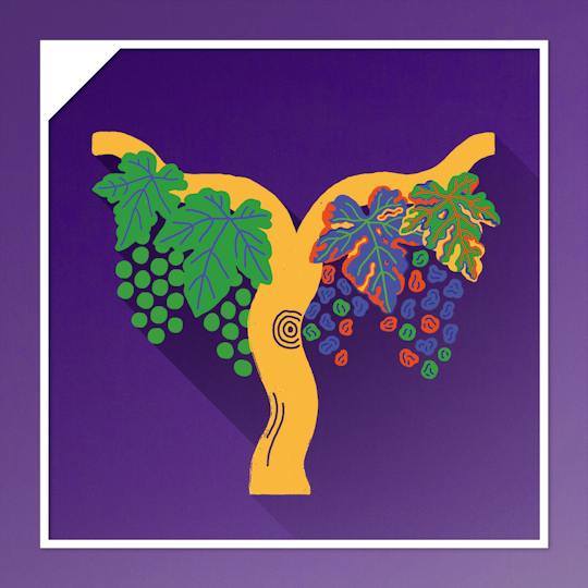 Portada: La salud vegetal. Plagas y enfermedades en plantas