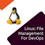 Linux: File Management for Devops by Coursera Project Network