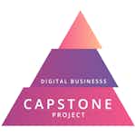 Digital Business - Capstone project by École Polytechnique, Institut Mines-Télécom