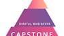 Digital Business - Capstone project