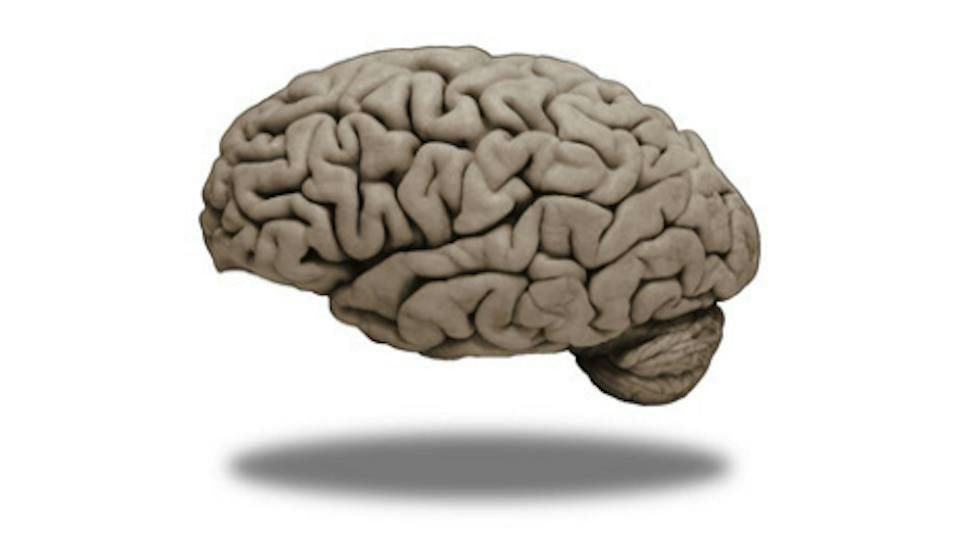 Portada: Neurociencia médica