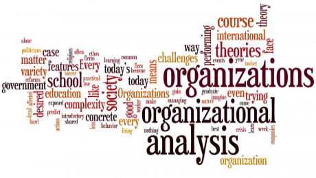Organizational Analysis Coupon