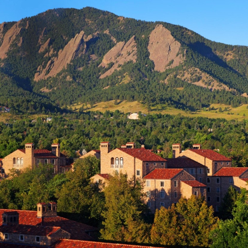 Graduate Certificate in Artificial Intelligence