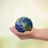 Magíster en Salud Pública Global
