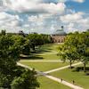 Master of Science in Management (iMSM)