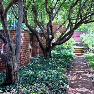 Age of Jefferson from University of Virginia online course platform